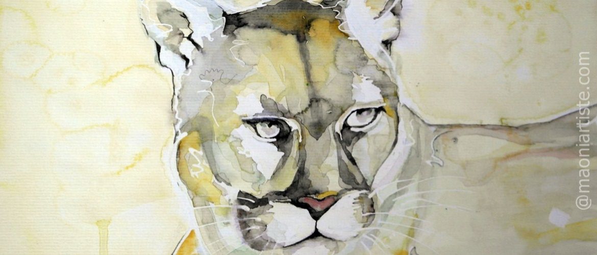 ANOTHER BEAUTIFUL WORLD-1200x500