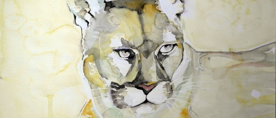 ART AVEC DES ANIMAUX Aquarelle puma au regard clair TITRE : ANOTHER BEAUTIFUL MONDE MAONI AQUARELLE