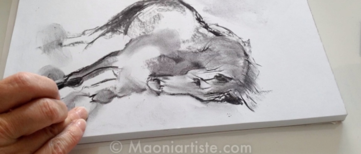 DEMO DESSIN CHEVAL FOUGUEUX FUSAIN