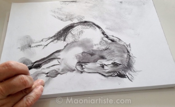 DEMO DESSIN CHEVAL FOUGUEUX FUSAIN