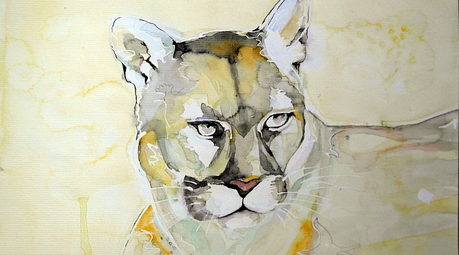 ART AVEC DES ANIMAUX Aquarelle puma au regard clair TITRE : ANOTHER BEAUTIFUL MONDE MAONI AQUARELLE