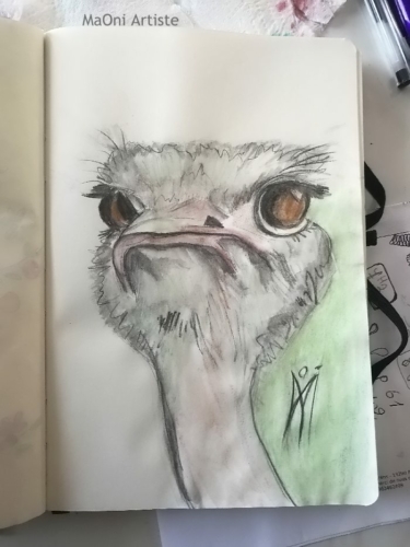 Autruche Carnet de croquis Maoni